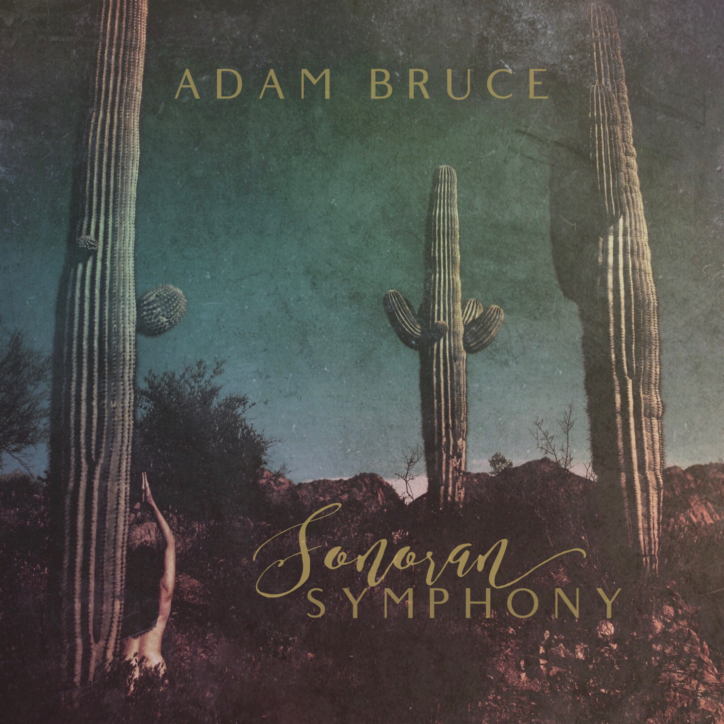 Sonoran Symphony cover